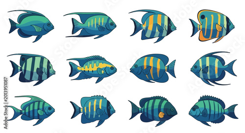 Photography Collection of Tropical Fish: Diverse Marine Life, Vibrant Colors, Underwater Wor