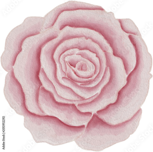 rose digital watercolor