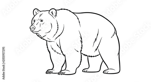 A black and white line drawing illustration of a standing bear looking to the left on a plain background