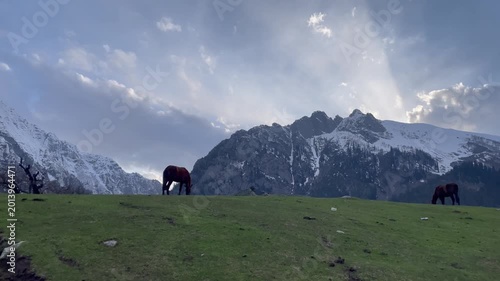 Snowy Mountain Landscape with Grazing Horses Under Dramatic Sky