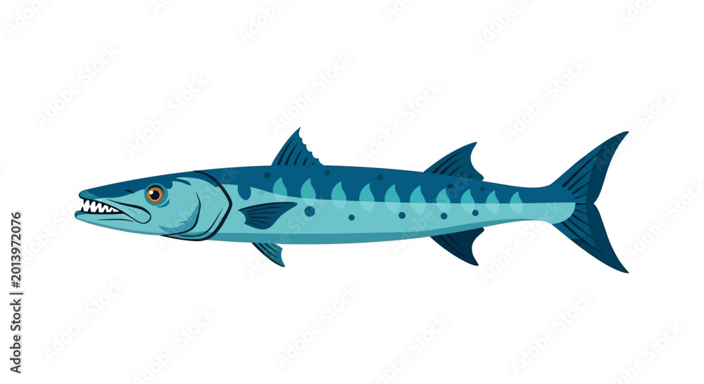 Fototapeta premium Illustration of a Barracuda fish, a predatory marine animal, with sharp teeth and blue scales, isolated on white background.