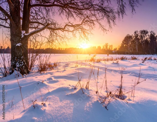 Winter Landscape Photography With Golden Sunrise Light Over Snowy Field And Frozen Lake Framed Large Tree Branches In A Morning Park