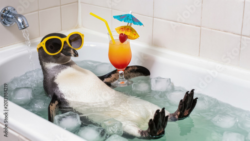 Penguin cooling off in bathtub with ice and tropical cocktail. Heatwave escape and vacation craving. Funny summer cooling concept. Tropical travel promo.