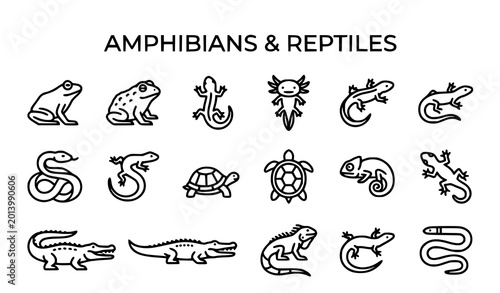 Tableau sur toile Amphibians and reptiles line icons set vector illustration