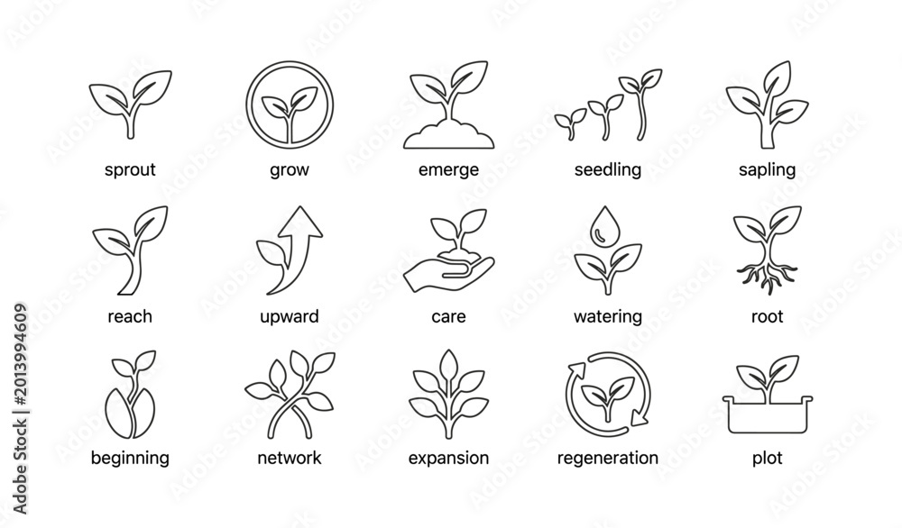 Fototapeta premium Plant sprout and growth icons arranged on white background
