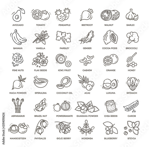 Superfoods line vector icons. Vector symbols