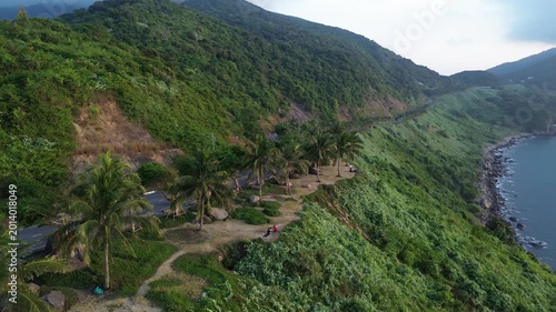 Drone footage of a tropical coastline with mountains, winding road, palm trees and the sea in the background. Cinematic aerial landscape view.