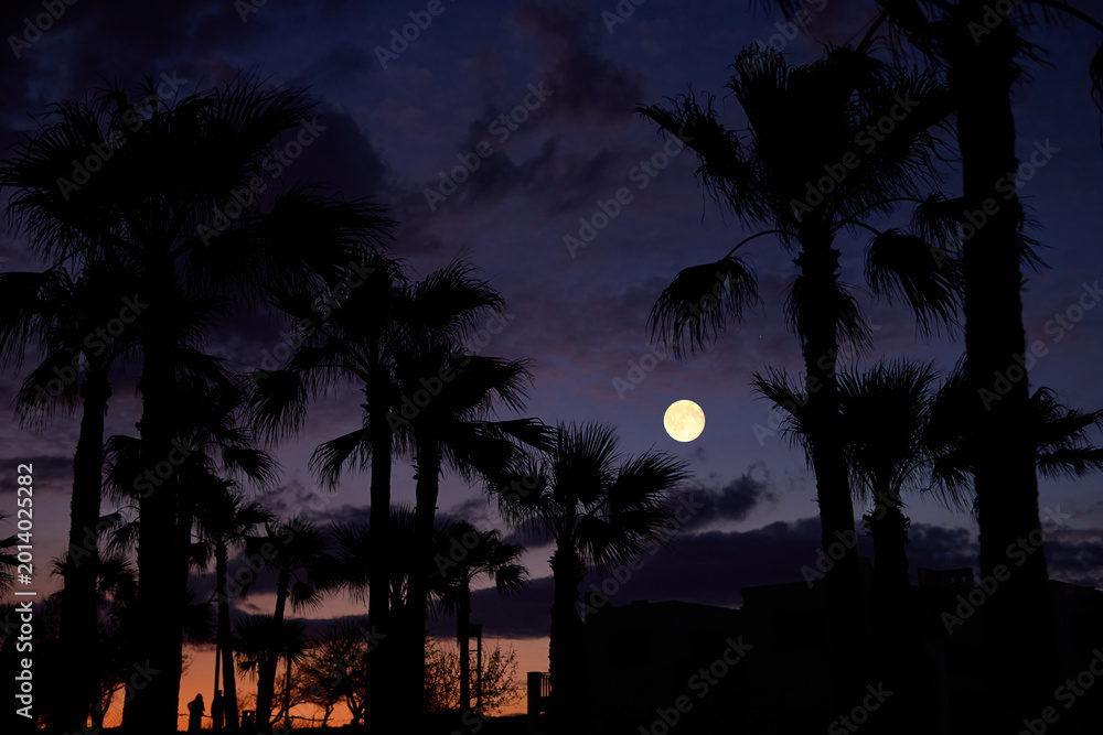 Fototapeta premium Full Moon on a twilight sky with landscape silhouettes.