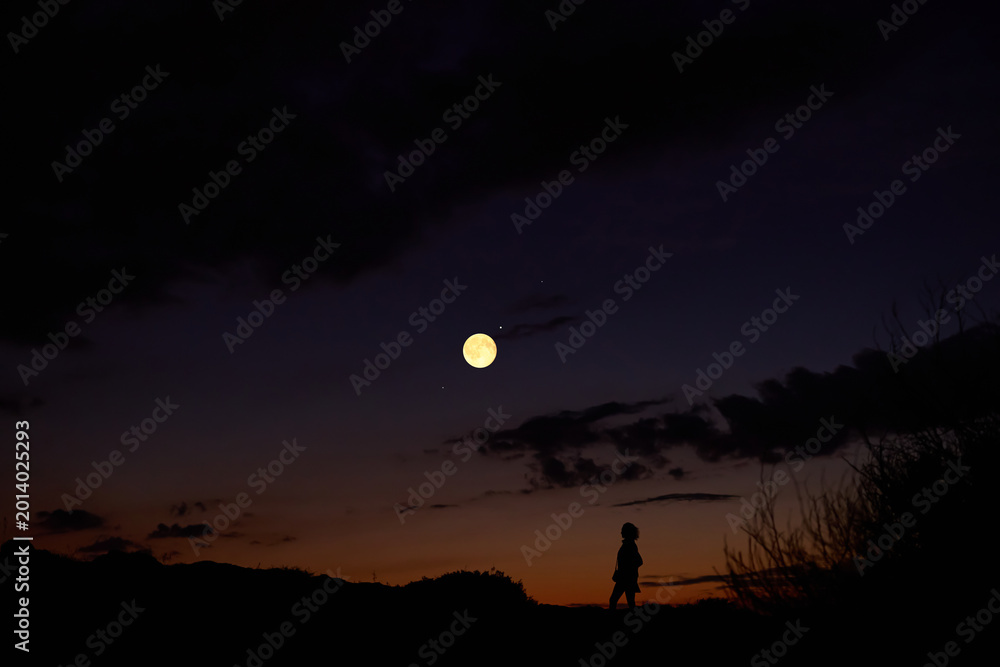 Fototapeta premium Woman observing stars, planets, Moon and other celestial objects.