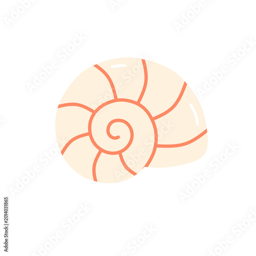 Fotografía nautilus shell isolated on white