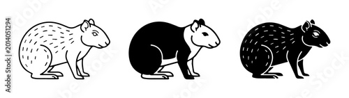 Canvas Print Agouti Vector Icons, Rodent Wildlife Illustrations, Black and White Animal Graph