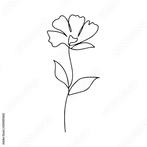 Minimalistic flower outline. Flower sketch in linear style.
