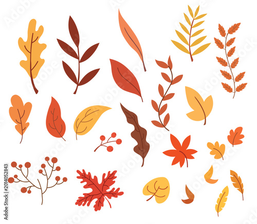 Fotografía Autumn yellow, orange, brown and red leaves and branches of the viburnum isolate