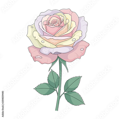 Multi-colored Rose Flower Illustration, Pastel Hues, Delicate Petals, White Background