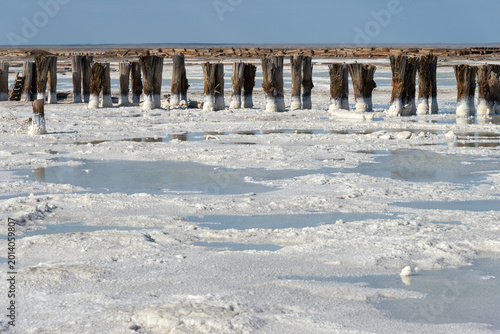 Photos Old wooden pillars in the salt lake Baskunchak