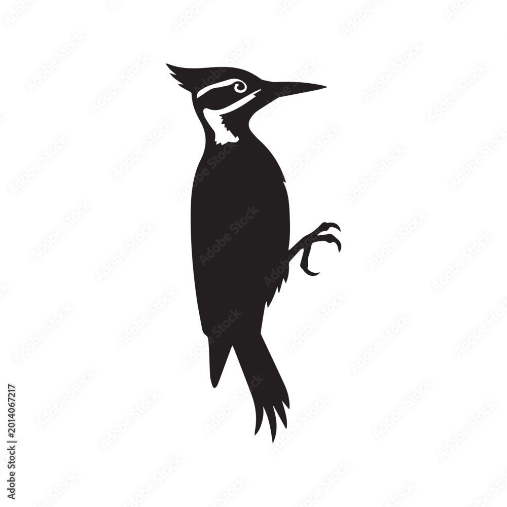 Obraz premium Black silhouette of a woodpecker bird isolated on white background vector illustration 