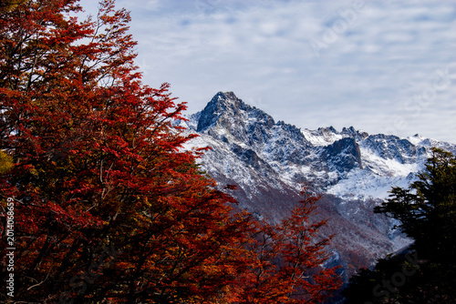 Photos Autumn in Patagonia Argentina