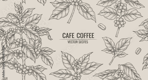 A detailed illustration of coffee plant branches with leaves and coffee beans on a beige background