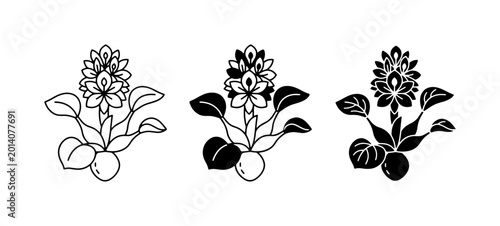 Bild auf Leinwand Water Hyacinth Vector Icons, Aquatic Plant Illustrations, Botanical Line Art and