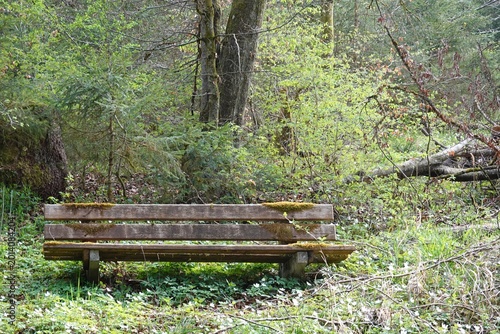 Alte Bank im Wald - Ruheplatz