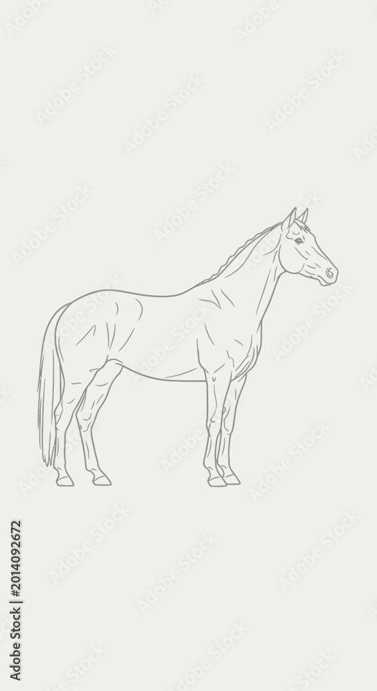Fototapeta premium Minimalist Horse Outline Drawing on Light Beige Background