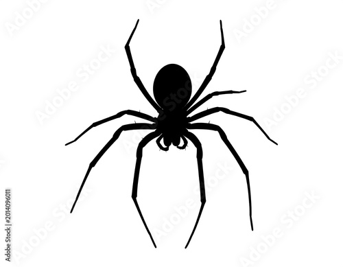 A simple, black silhouette of an arachnid with eight legs and a rounded body against a stark white background