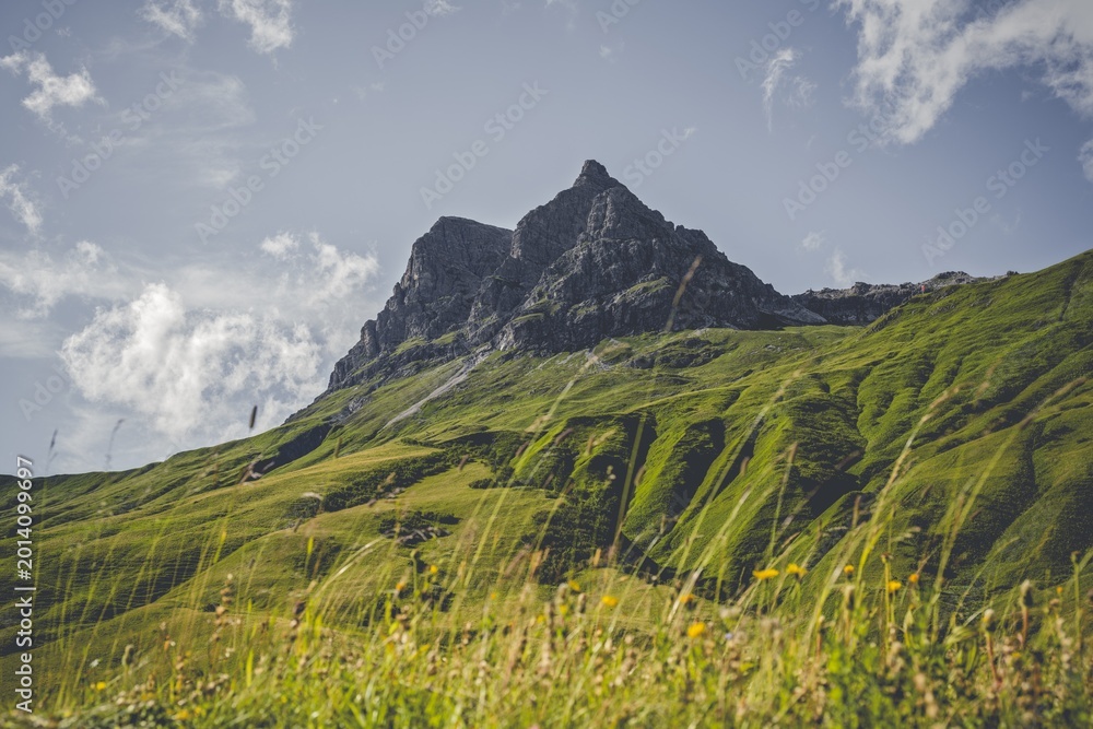 Fototapeta premium Majestic Peak of Großer Widderstein Mountain with Alpine Grasses in Bregenzerwald, Austria