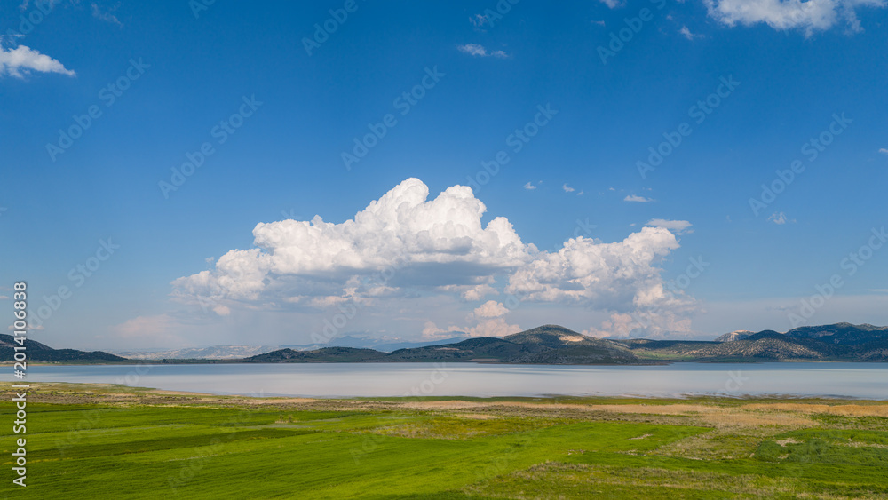 Obraz premium A serene aerial view of vast green plains with massive white cumulus clouds drifting overhead and the tranquil shores of a lake.