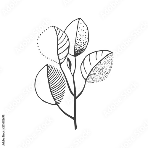 Fotografie Hand drawn doodle silhouettes of flowers