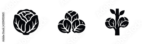 Photos Cabbage and Brussels Sprouts Icons Set