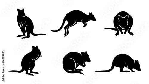 Photography Set of Six Black Silhouette Wallabies, Diverse Poses, Australian Wildlife Vector