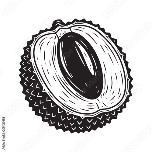 Black and white engraving of a half cut lychee fruit