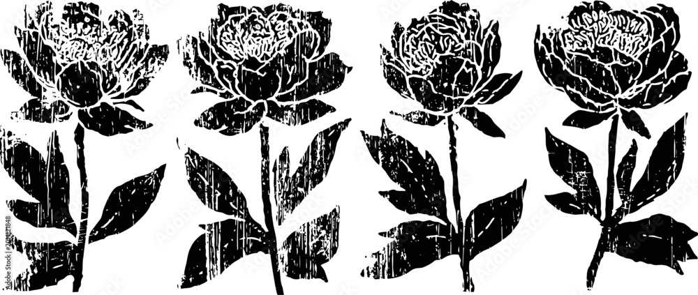 Fototapeta premium vintage floral pattern with four black peony flowers and leaves on white background