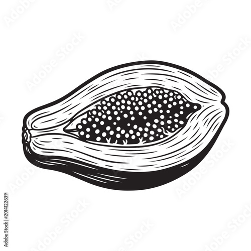 Hand drawn black and white papaya fruit half illustration