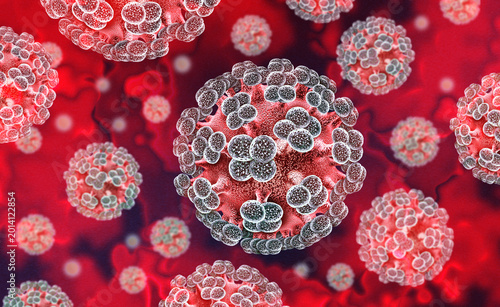 Hantavirus virus or Hanta Virus outbreak as a is a zoonotic RNA virus transmitted by droppings of infected rodents causing severe respiratory and hemorrhagic diseases in humans as pneumonia as a dange