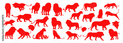 Photography Red Wild lion silhouette vector icon set on Transparent background safari animal