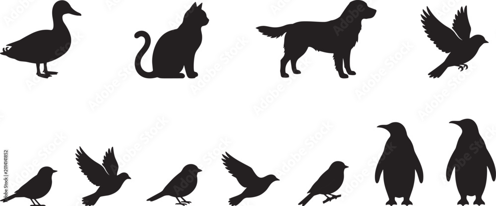 Fototapeta premium Animal silhouettes collection featuring dog cat duck penguin and various birds isolated black vector set for design
