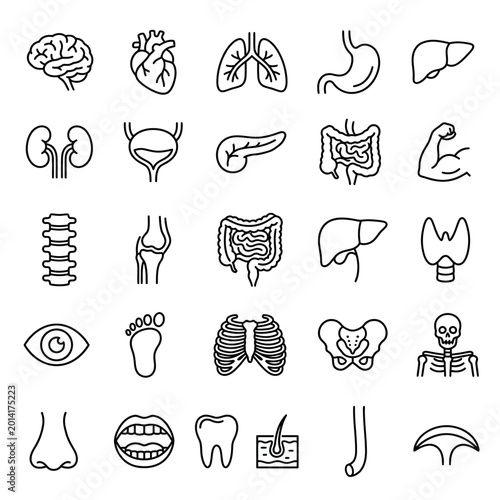 A collection of detailed anatomical icons featuring various human body parts and organs.