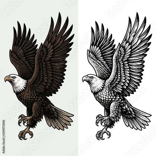 Two bald eagles spreading their wings in flight outdoors freely.