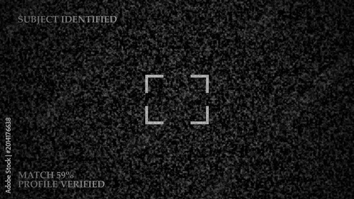 Biometric Surveillance Screen with Subject Identified, Profile Verification and TV Noise Signal Distortion