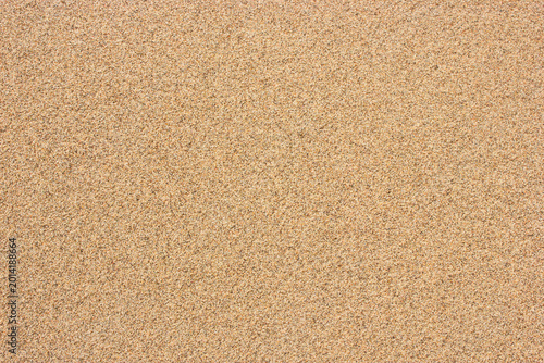 Sand dunes and beach texture background. Summer beach concept