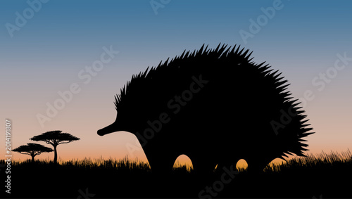 Tableau sur toile Echidna at sunset, color vector illustration