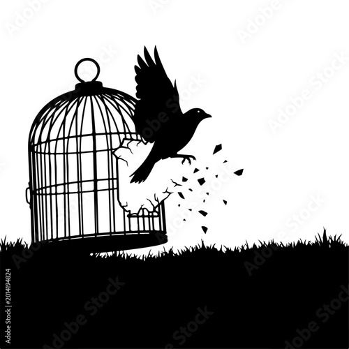 Photos Black bird escaping from open cage on grassy field in silhouette