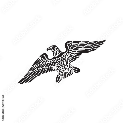 Black eagle, flying bird, wildlife icon, vector illustration, animal symbol vector, icon, eps,