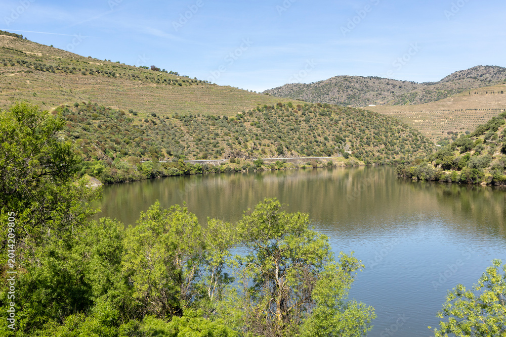 Fototapeta premium Douro river flowing through terraced hills landscape