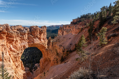 Vászonkép Natural Bridge rock arch in Bryce Canyon National Park, Utah, with red sandstone hoodoos and pine-covered canyon under blue sky