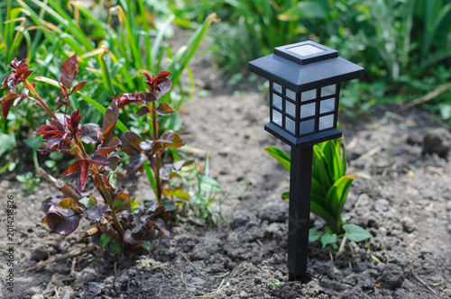 solar-powered garden light among green plants
