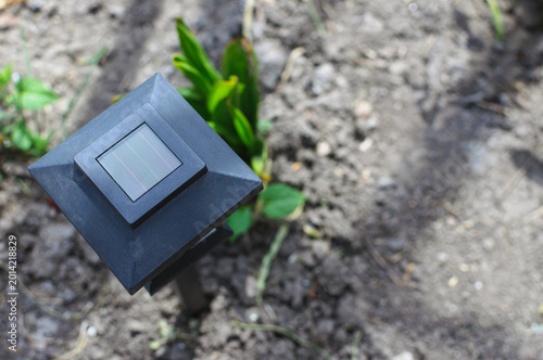 Solar-powered garden light among green plants, top view.