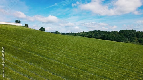 Golden wheat sways gently in the wind as clouds drift by over a beautiful landscape in southern France