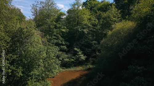 Soaring high above a peaceful pond, nature reveals its beauty as a bird circles gracefully in the vast sky of France